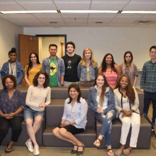 2019 Summer Institute in Survey Research Techniques Diversity Fellowship